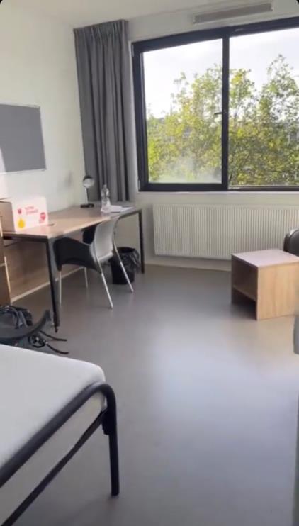 Room for rent 536 euro Prof. Schermerhornstraat, Delft