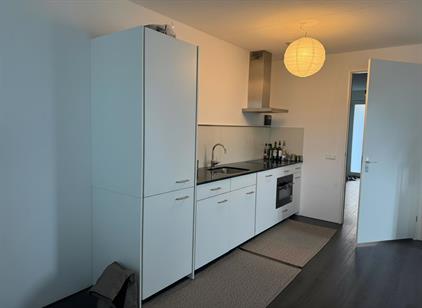 Apartment for rent 2200 euro S Blaupot ten Catestr, Zaandam