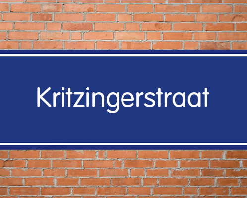Kamer te huur in de Kritzingerstraat in Den Haag