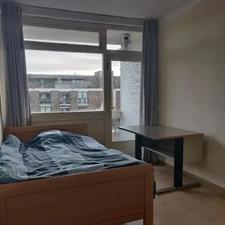 Room for rent 96 euro Haagbeuklaan, Amstelveen