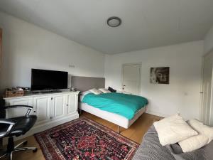 Room for rent 900 euro Rijksstraatweg, Wassenaar