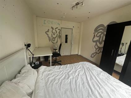 Room for rent 400 euro Oudraadtweg, Delft