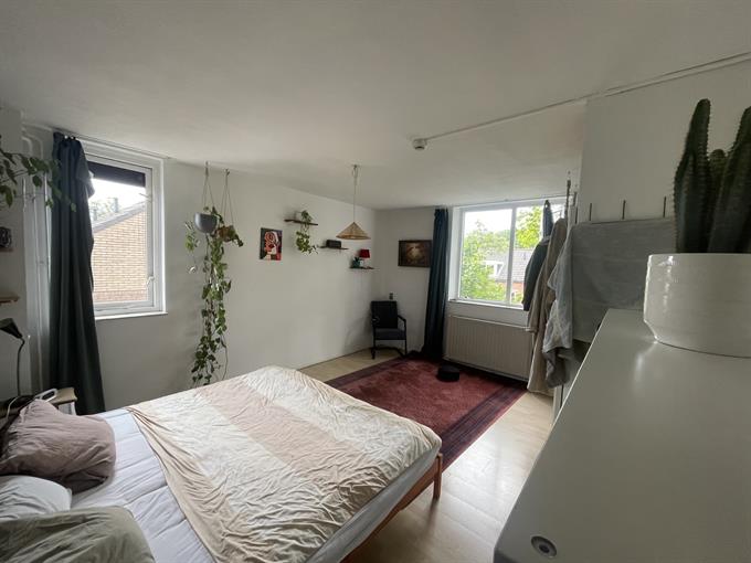 Kamer in Utrecht, Shetlands op Kamernet.nl: Summer Sublet in Utrecht (Lunetten) August ☀️