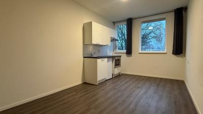 Kamer te huur 550 euro de Gealanden, Leeuwarden