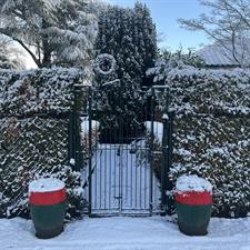 Kamer te huur 550 euro Julianastraat, Diessen