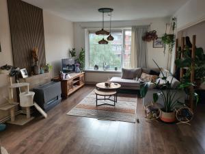 Room for rent 620 euro Snelliusstraat, Groningen