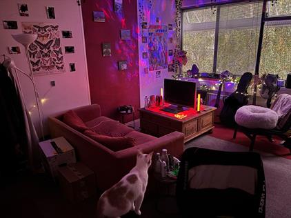 Kamer te huur 502 euro Stamkartplein, Den Haag