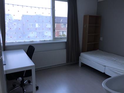 Room for rent 690 euro Paukenstraat, Nijmegen