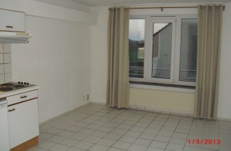 Appartement te huur 560 euro Tongerseweg, Maastricht