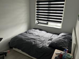 Room for rent 700 euro Lijsterbeslaan, Delft