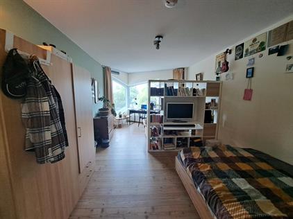 Room for rent 570 euro Balthasar van der Polweg, Delft