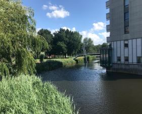 Kamer te huur 850 euro Grubbehoeve, Amsterdam