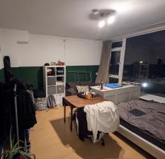 Room for rent 520 euro Baliendijk, Breda