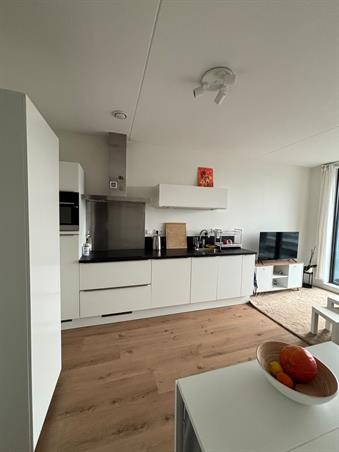Zimmer bei Marius Bauerstraat In Amsterdam