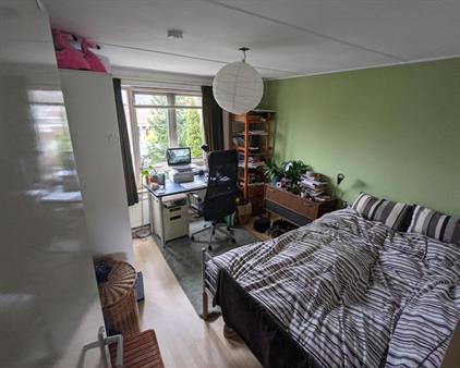 Room for rent 475 euro Sonoystraat, Arnhem