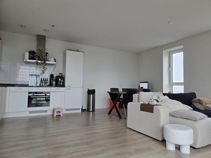Zimmer bei Louise Henriettestraat In Den Haag