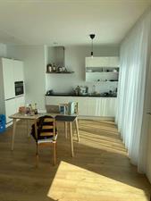 Apartment for rent 985 euro Rinus Michelslaan, Amsterdam