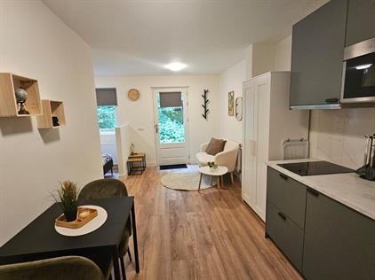 Studio te huur 1595 euro Hondsrug, Utrecht
