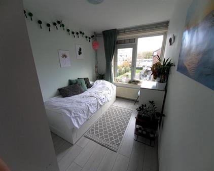 Kamer te huur 355 euro Paul Scholtenstraat, Amsterdam