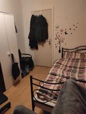 Room for rent 405 euro Hanzestraat, Arnhem