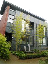 Kamer te huur 525 euro Vierde Donk, Den Bosch