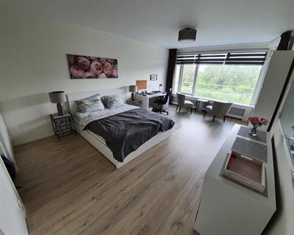 Kamer te huur 980 euro Pisuissestraat, Den Haag