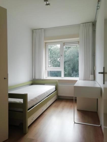 Kolonel Palmstraat
