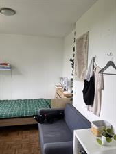 Room for rent 440 euro Venuslaan, Eindhoven