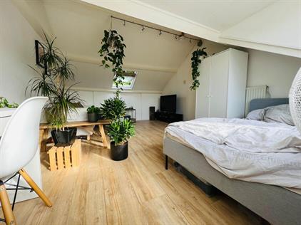 Kamer te huur 893 euro Marie Koenenlaan, Tilburg