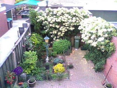 tenant image