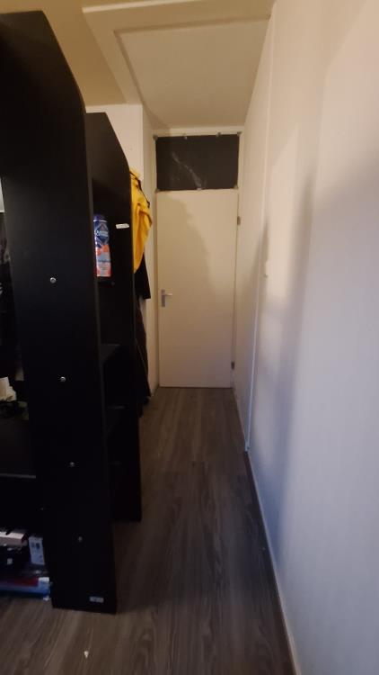 Room for rent 428 euro Montgomerylaan, Delft