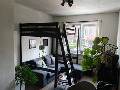 Kamer te huur 550 euro Hoefstraat, Tilburg