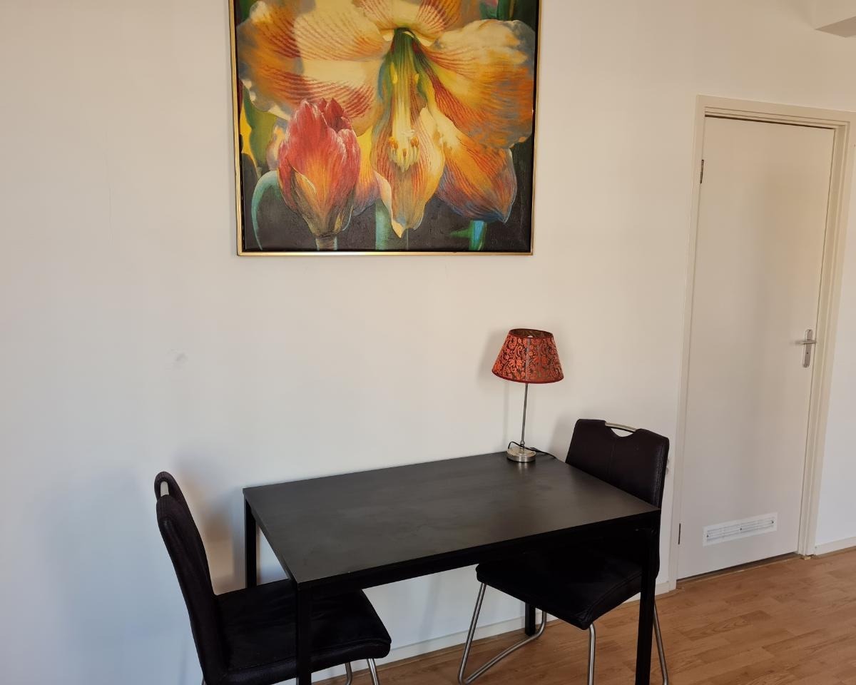 Kamer te huur in Den Haag – Herderslaan – foto 2