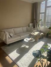 Apartment for rent 2500 euro Witte de Withstraat, Amsterdam