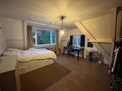 Kamer te huur 500 euro Van de Spiegelstraat, Delft