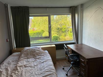 Room for rent 410 euro Oudraadtweg, Delft