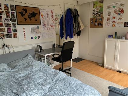 Room for rent 558 euro Zuiderpark, Groningen