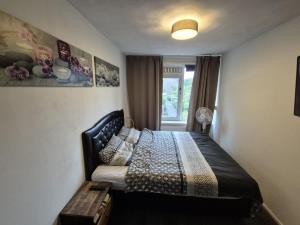 Appartement te huur 2600 euro Josephus Jittastraat, Amsterdam