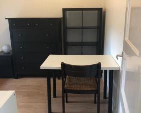 Room for rent 750 euro Haarlemmermeerstraat, Amsterdam