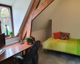 Room for rent 460 euro Heyendaalseweg, Nijmegen