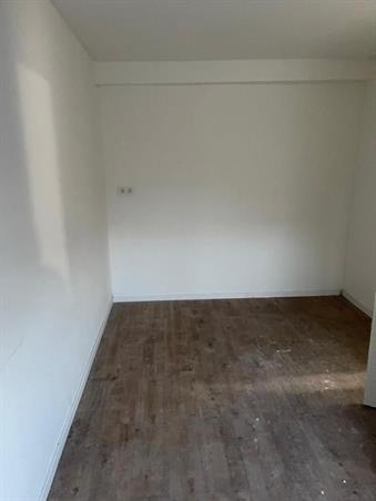 Zimmer bei Oerlesestraat In Tilburg