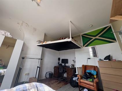 Room for rent 800 euro Oranje Plantage, Delft