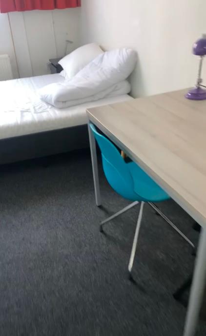 Room for rent 580 euro St. Canisiussingel, Nijmegen