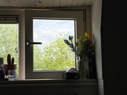 Room for rent 595 euro Leidsevaart, Haarlem