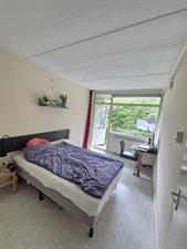 Kamer te huur 750 euro Pijperring, Delft
