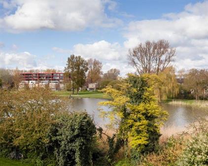 Kamer te huur 499 euro Hamburgerstraat, Groningen