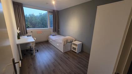 Zimmer zu vermieten 825 Euro Roland Holstlaan, Delft