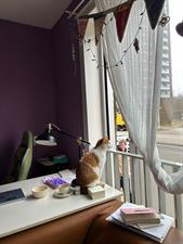Studio te huur 980 euro Carolina MacGillavrylaan, Amsterdam
