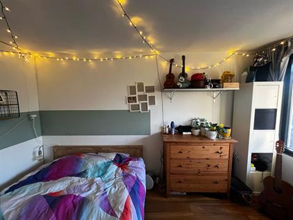Room for rent 470 euro Hondsrug, Utrecht