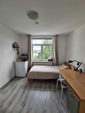 Witte Singel